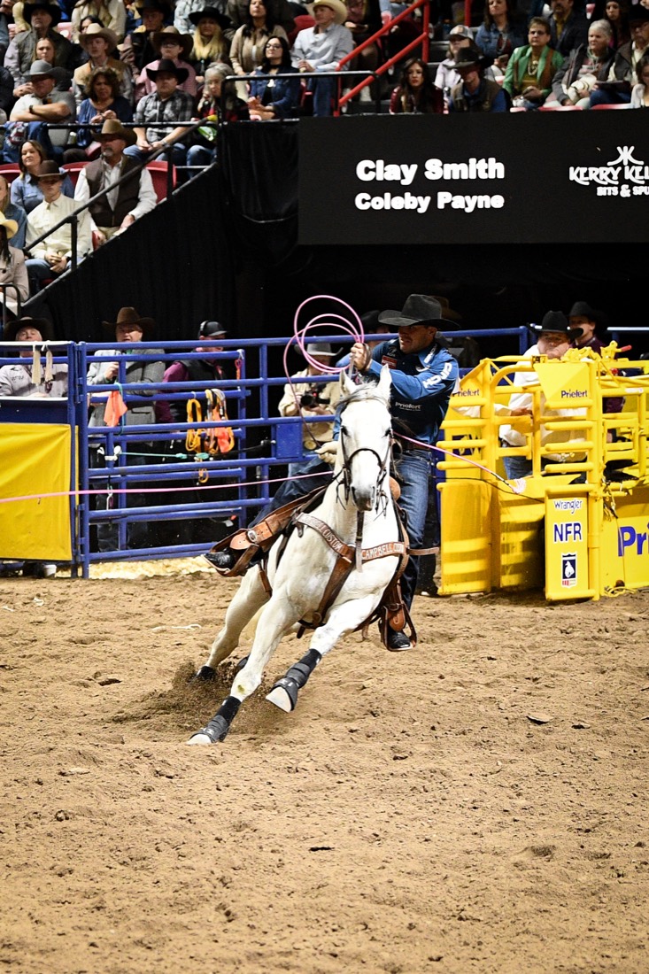 SEVS Judgement Day leaving the box at the 2025 NFR with Clay Smith